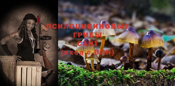 амф Белоозёрский