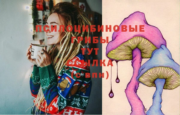 а пвп мука Бородино